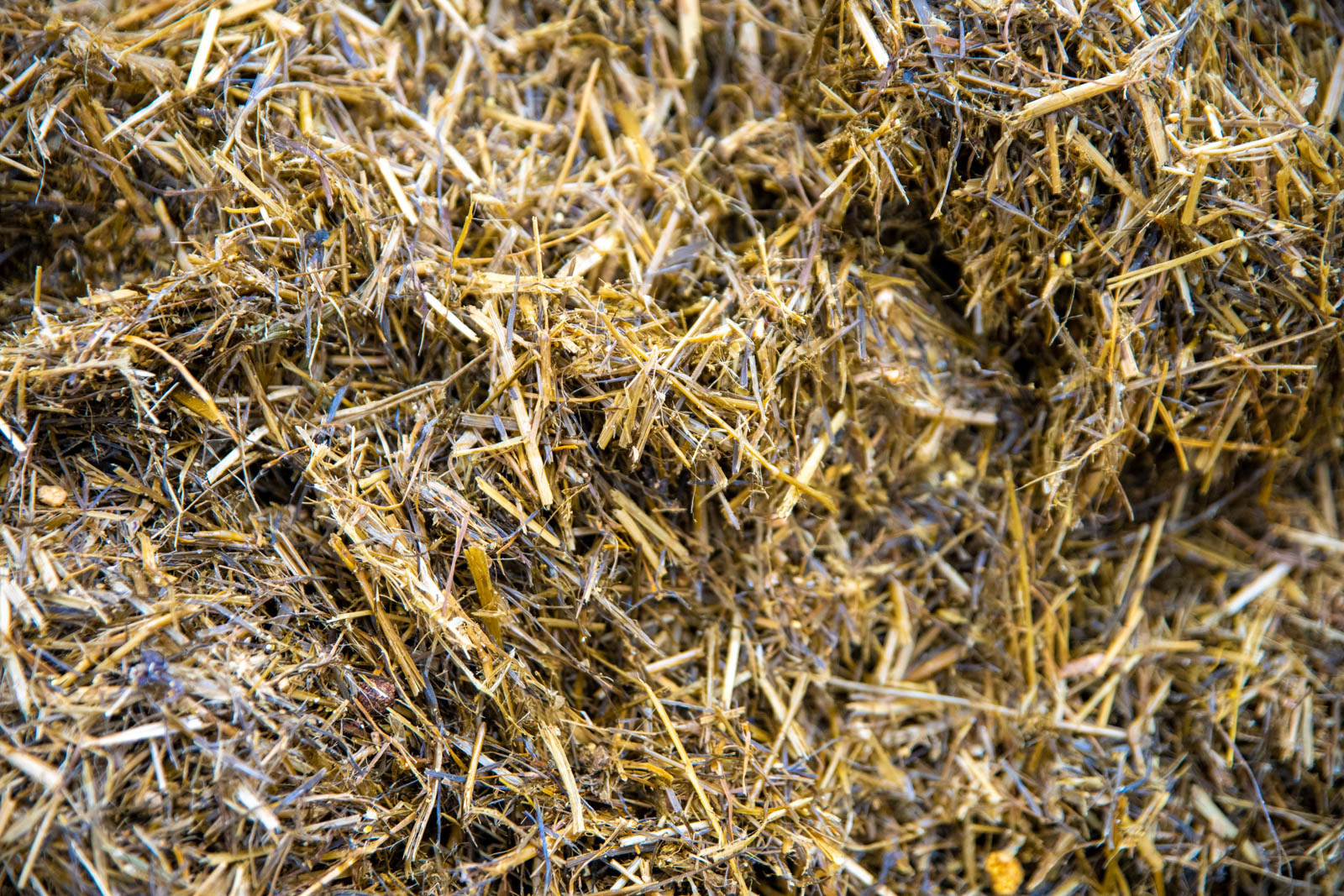 Parklands Farm (Web) 039