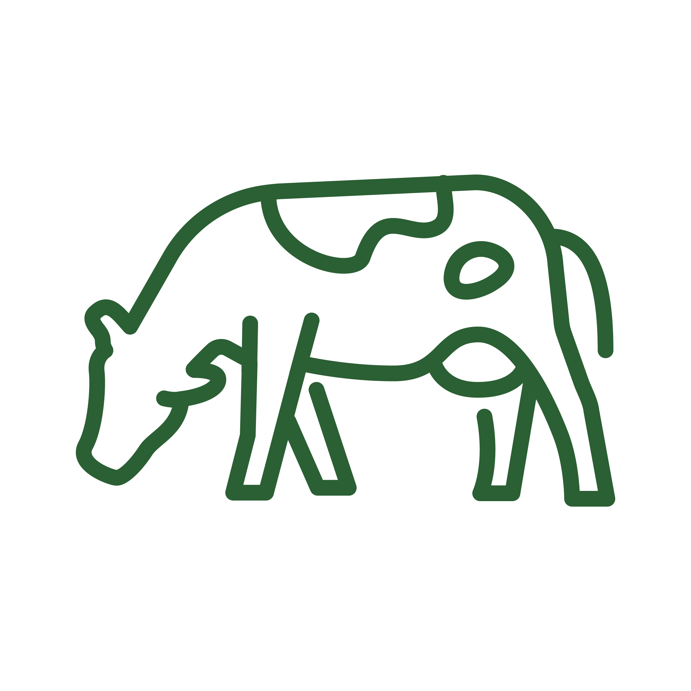 Herd Health & Disease Investigation