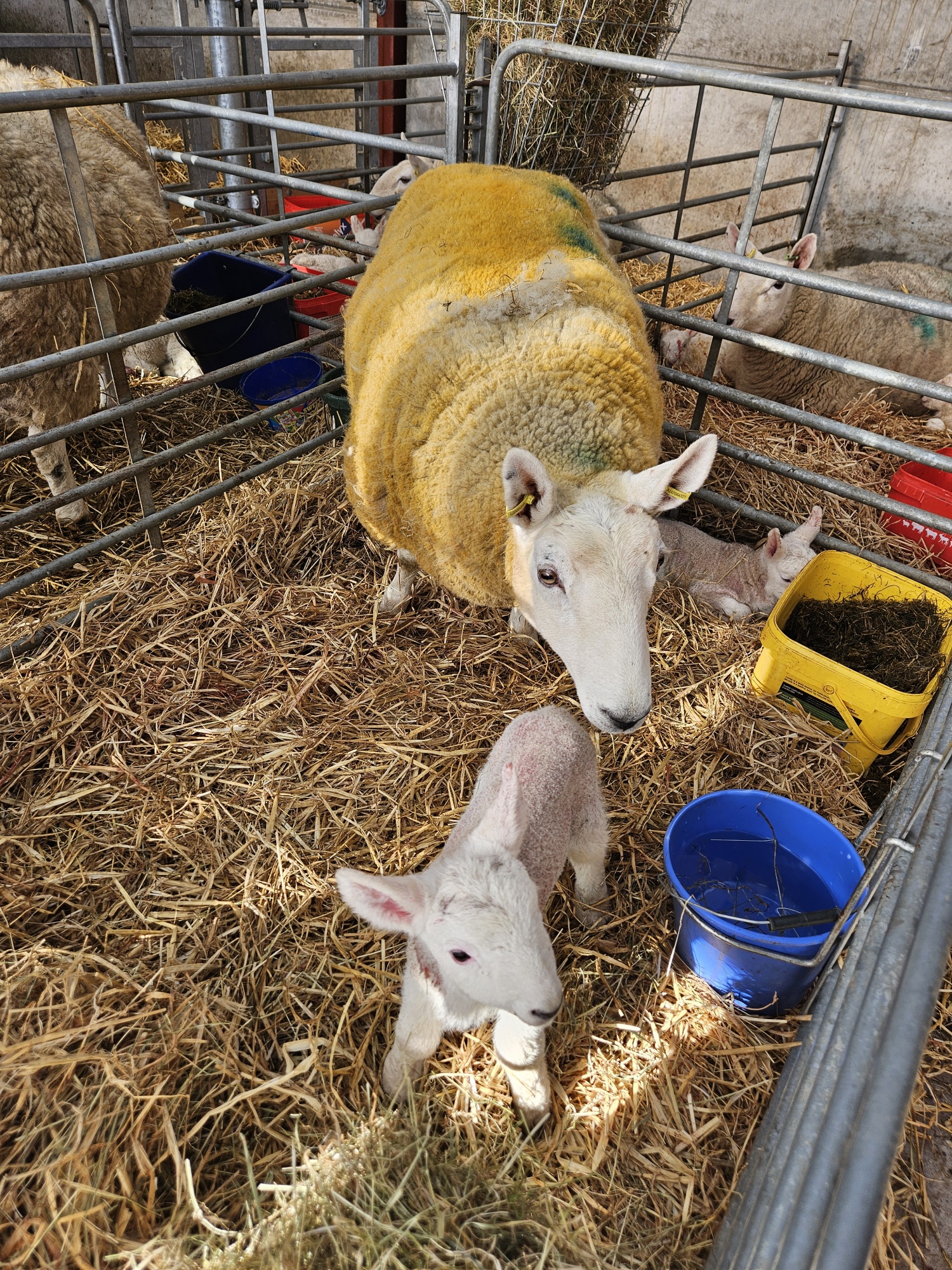 20260328_085426_resized