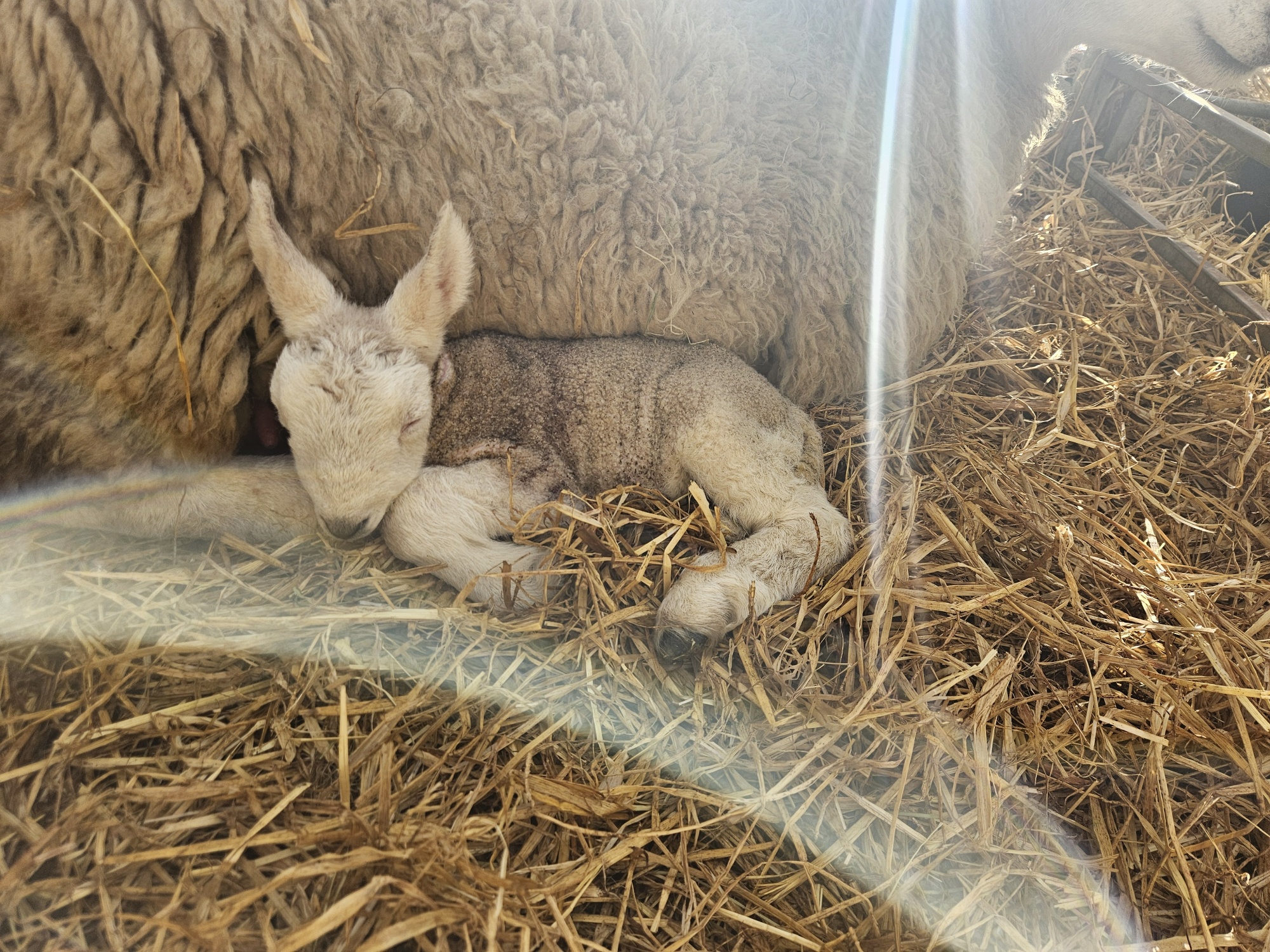 20260330_083843_resized